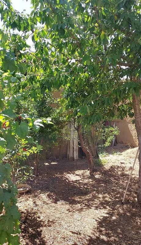 Aed - Terraced House with Garden in León