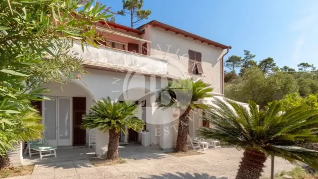 Extérieur - Villa with Sea View in Monterosso, Cinque Terre