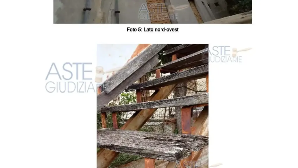 Toad - Apartment with Parking in Senigallia