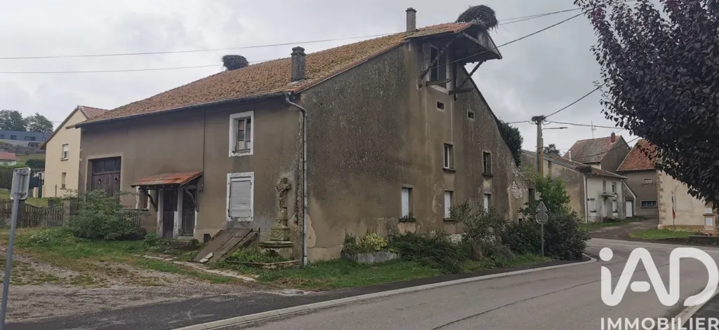 Extérieur - Maison à Rénover avec Grand Potentiel à Harprich