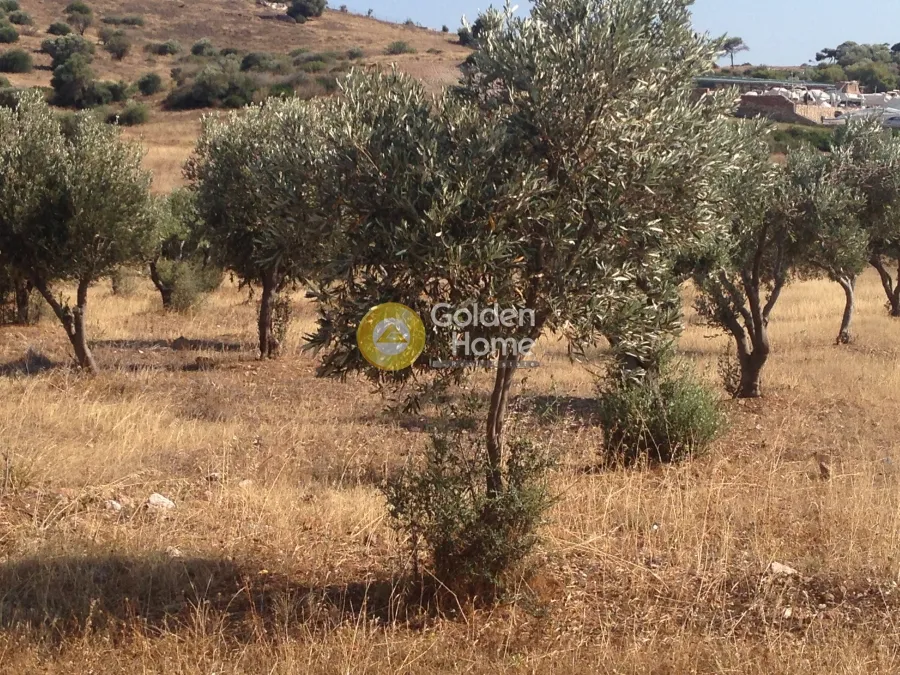 Jardin - Agricultural Plot with Sea View in Eastern Attica