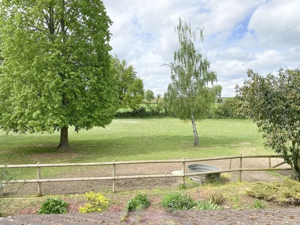 garden