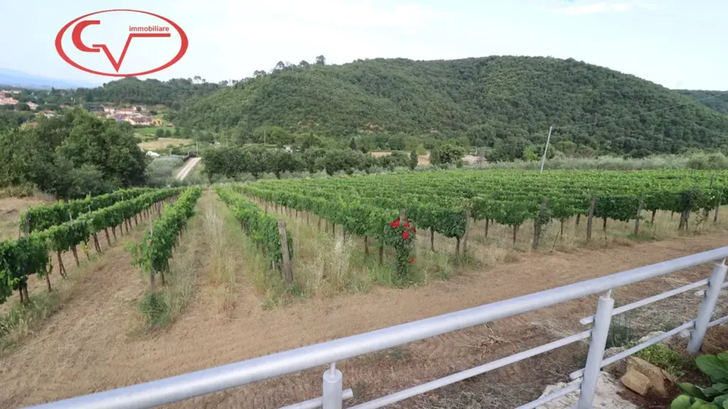 Aed - Rustic Villa with Panoramic Views in Montevarchi