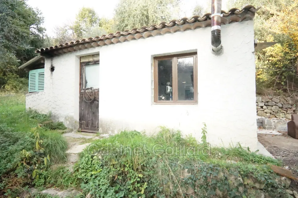 Extérieur - Maison Traditionnelle avec Oliviers à Cabris
