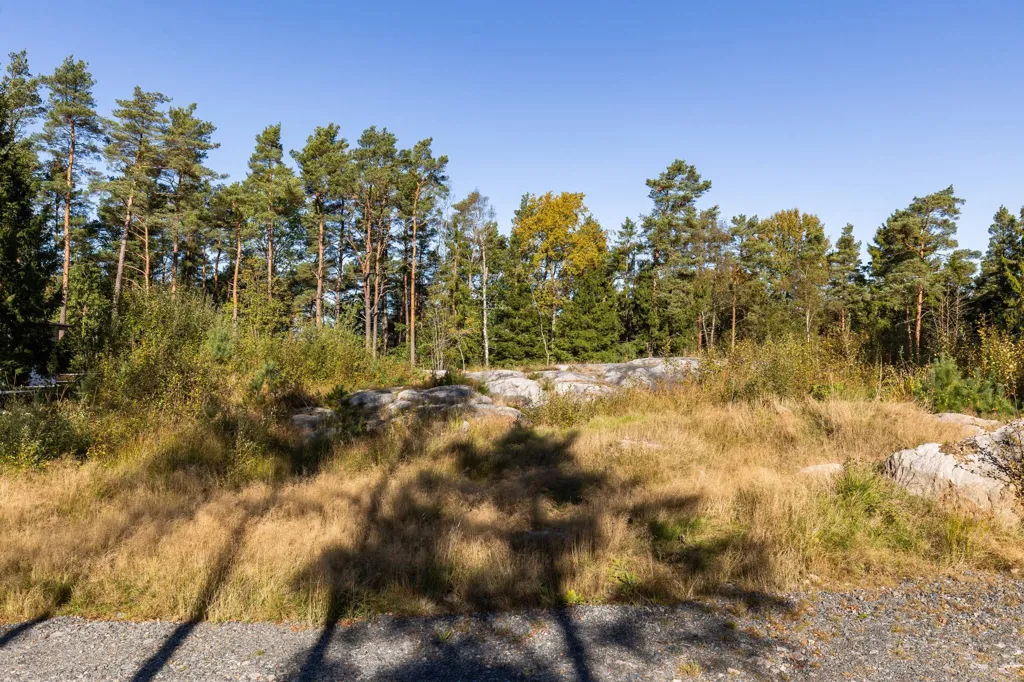 Aed - Generous Plot with Natural Setting near Gråbo