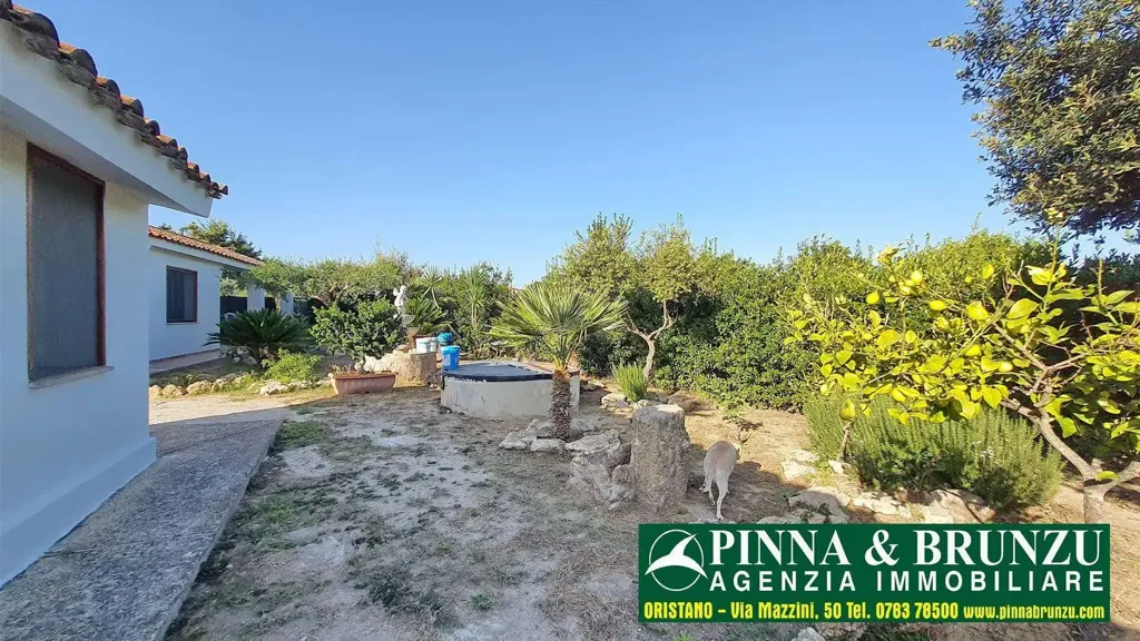 Aed - Villa with Garden in Nurachi