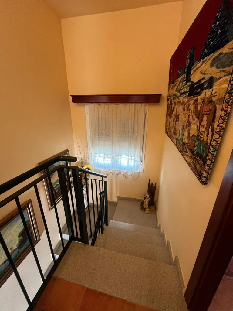 Toad - Corner Chalet with Terrace in Pilas