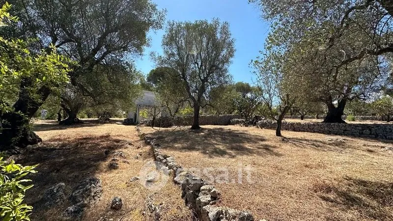 Jardin - Rustic Casale with Pool in Ostuni