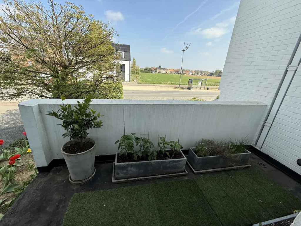 Jardin - Maison d'Architecte 4 Chambres à Kraainem