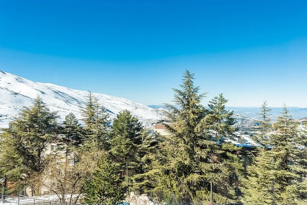 Apartment with Terrace in Sierra Nevada