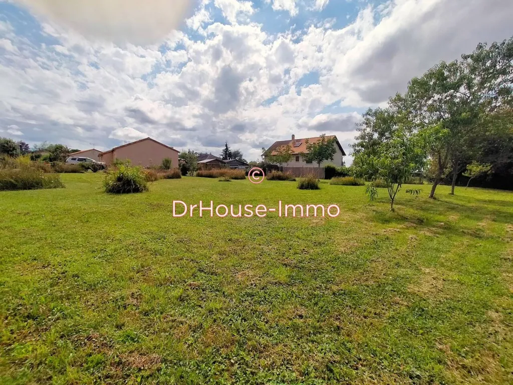 Jardin - Terrain Constructible avec Arbres Fruitiers à L'Isle-Jourdain