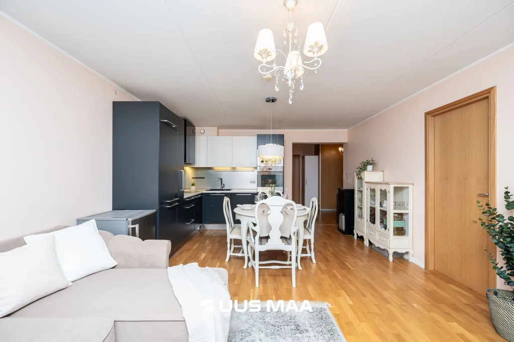 Séjour - Spacious Apartment with Sauna in Kadriorg