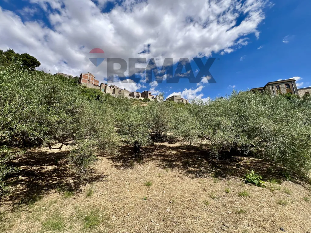 Aed - Villa with Olive Grove in Alimena