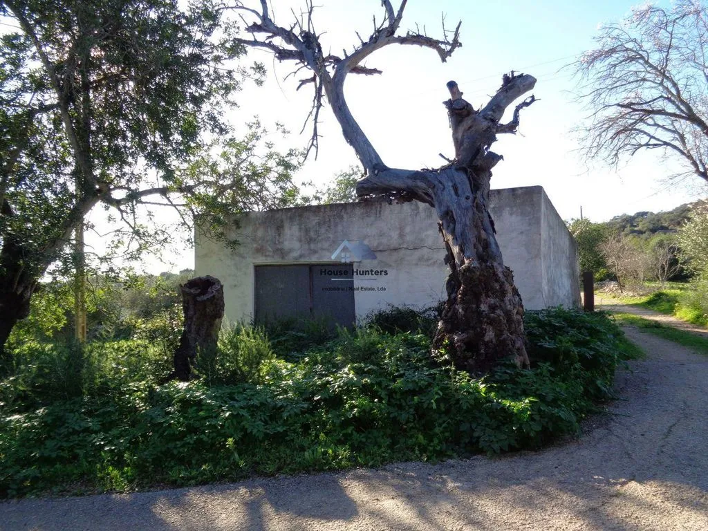 Extérieur - Luxury House with Garden in Loulé
