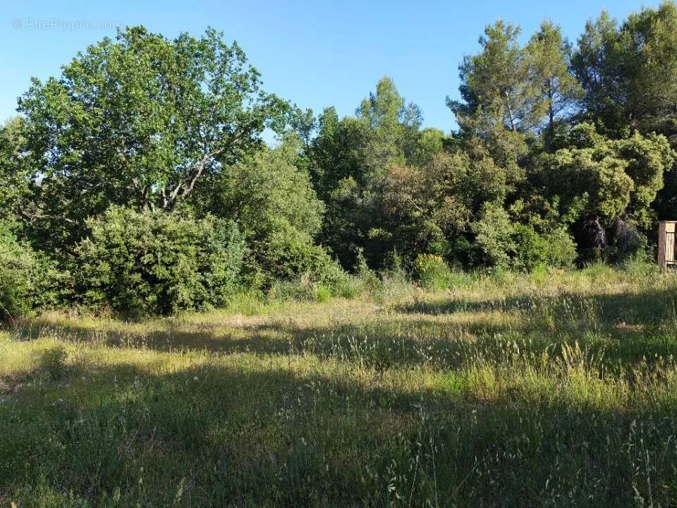 Aed - Buildable Plot with Garden in Lorgues