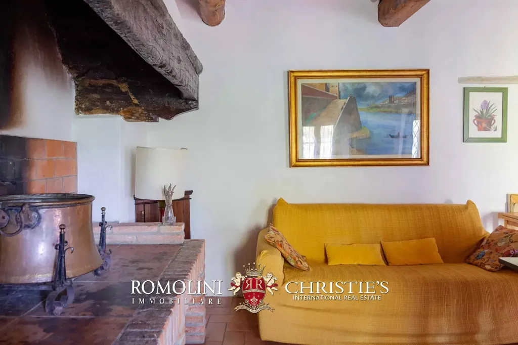 Living Room - Villa with Vineyard and Pool near Florence