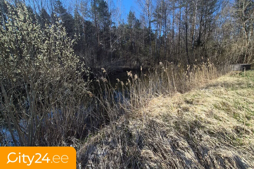 Maa asukohas Saaremaa vald