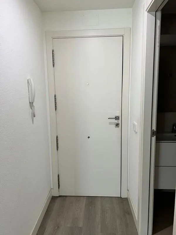 Entrée - 1-Bedroom Flat with Terrace in Carabanchel