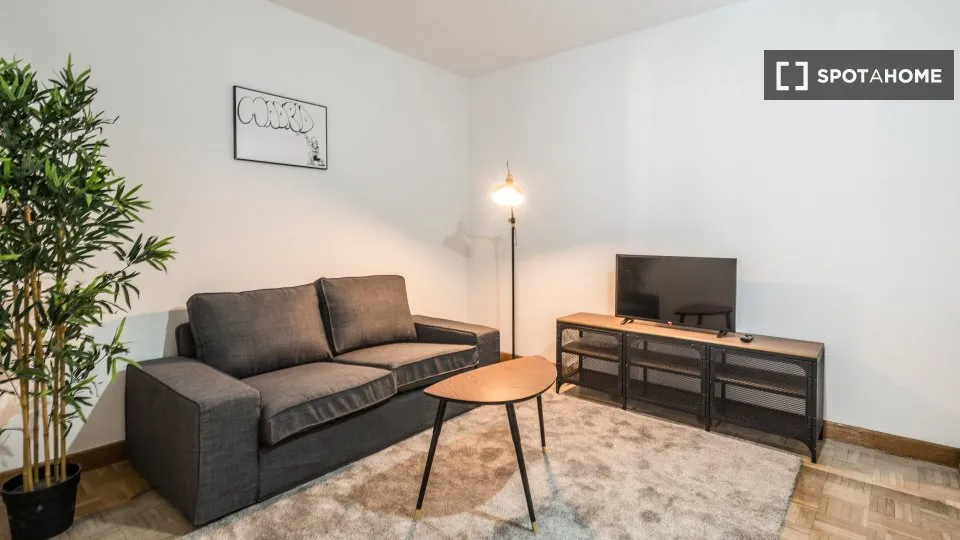 Séjour - Shared Flat with Retiro Park View in Madrid