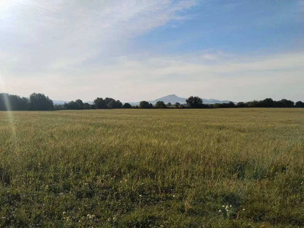 land_plot