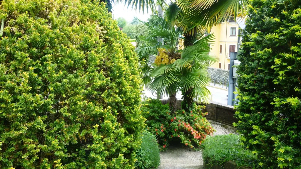 garden