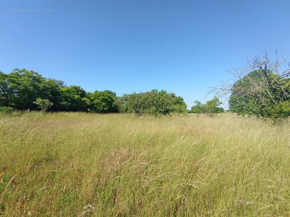 Giardino - Constructible Land with Panoramic View in Coulonges