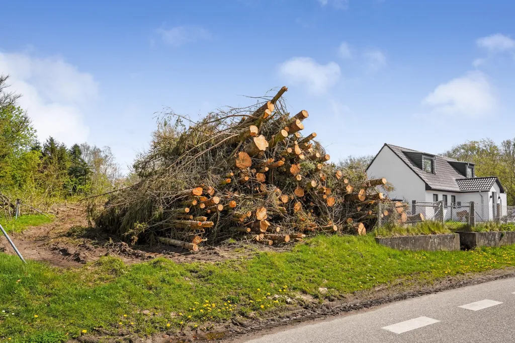 Extérieur - Year-Round Plot with 4G Coverage in Østbirk