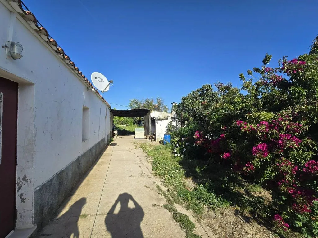 Jardin - Farmhouse with Fruit Trees near Tavira