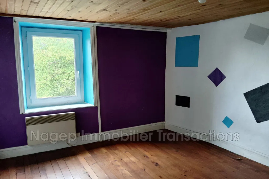 Toad - Renovable Property with 1.6ha Land in Rural Area