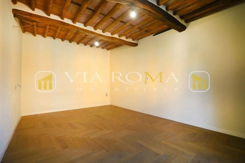 Toad - Luxury Flat with Views in Central Lucca