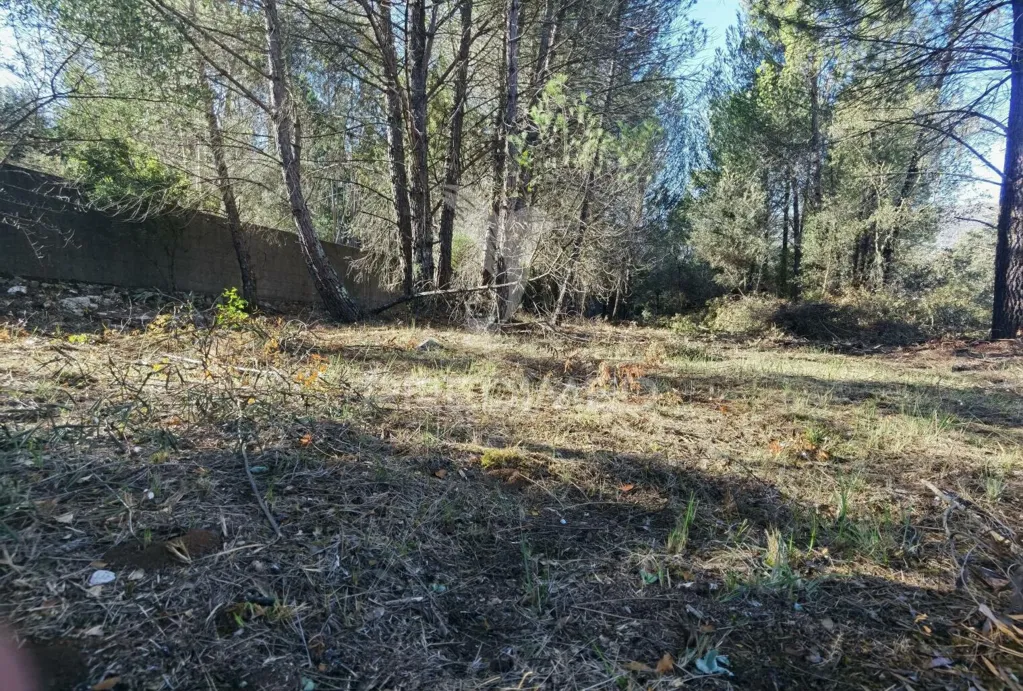 Aed - Urban Plot with Field View in Minde / Alcanena