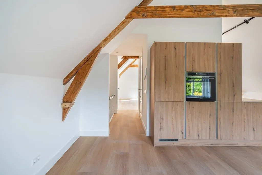 Toad - Renovated Loft in Zeeheldenkwartier, The Hague