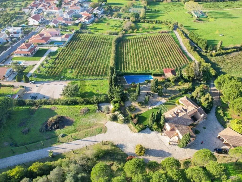 Vue aérienne - Farm with Pool and Vineyard in Azeitao