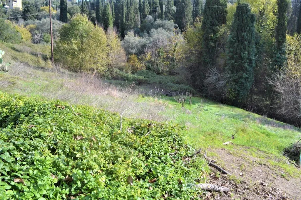 Jardin - Maisonette with Land in Allimatades, Corfu