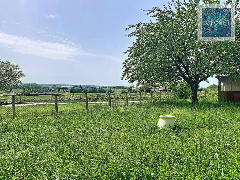 Aed - 3-Bedroom House with Estuary View near Blaye