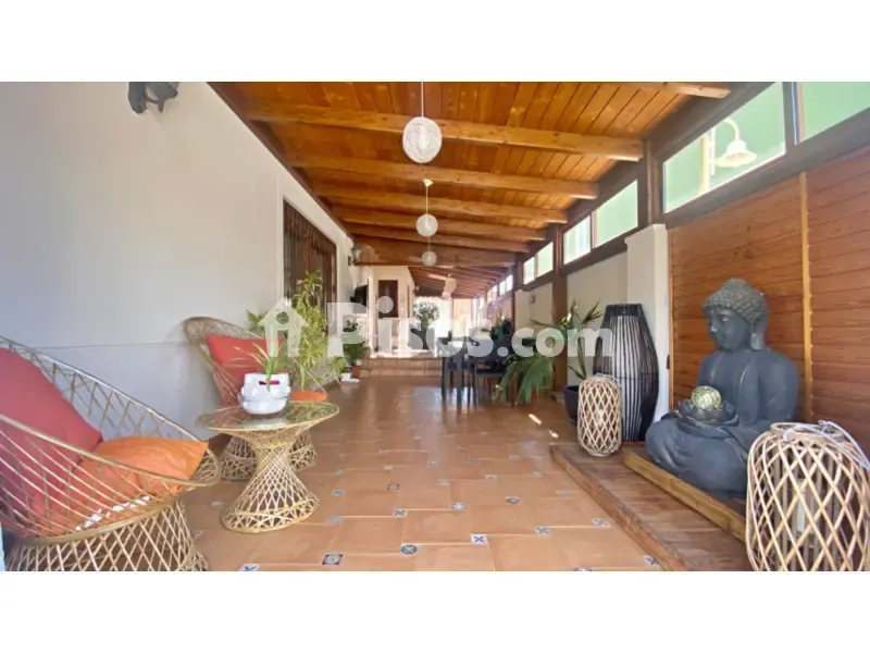 Terrasse - Luxury Chalet with Pool in Alicante Golf