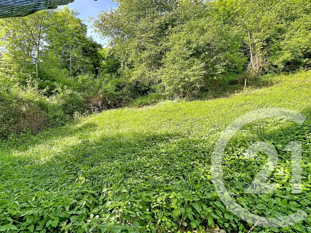 Jardin - Terrain Constructible avec Vue sur Nature à Retournac