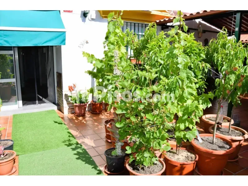 Terrass - Chalet with Sea View in El Portil