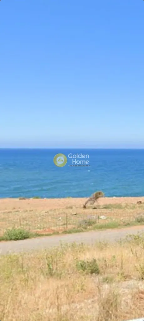 Giardino - Plot with Sea View in Mylopotamos - Lavrio
