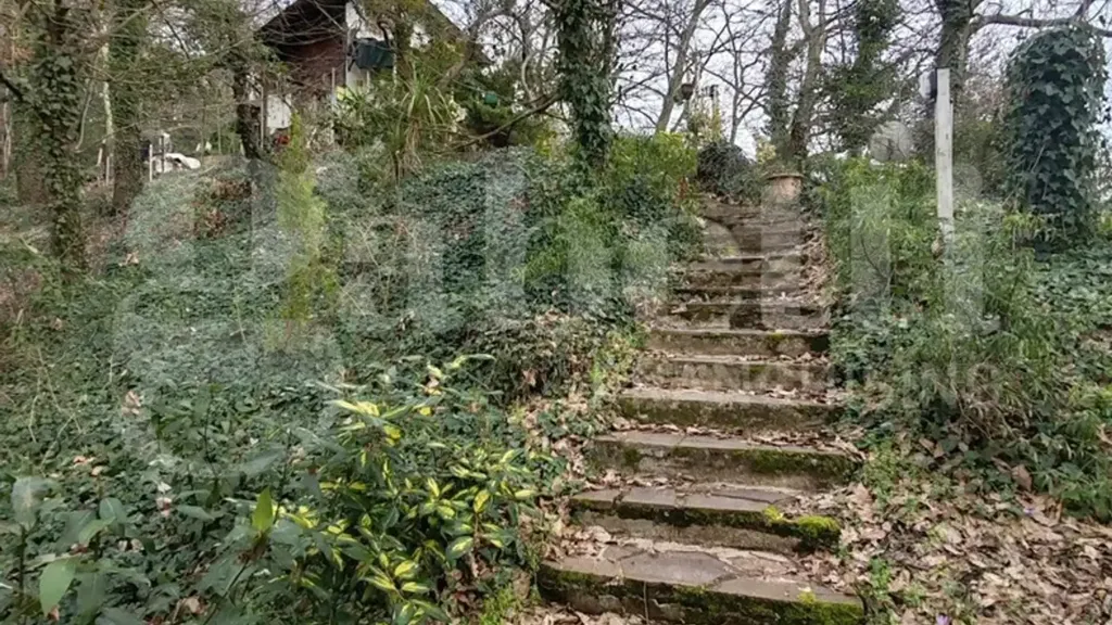 Toad - Rustic House with Garden in Collesalvetti