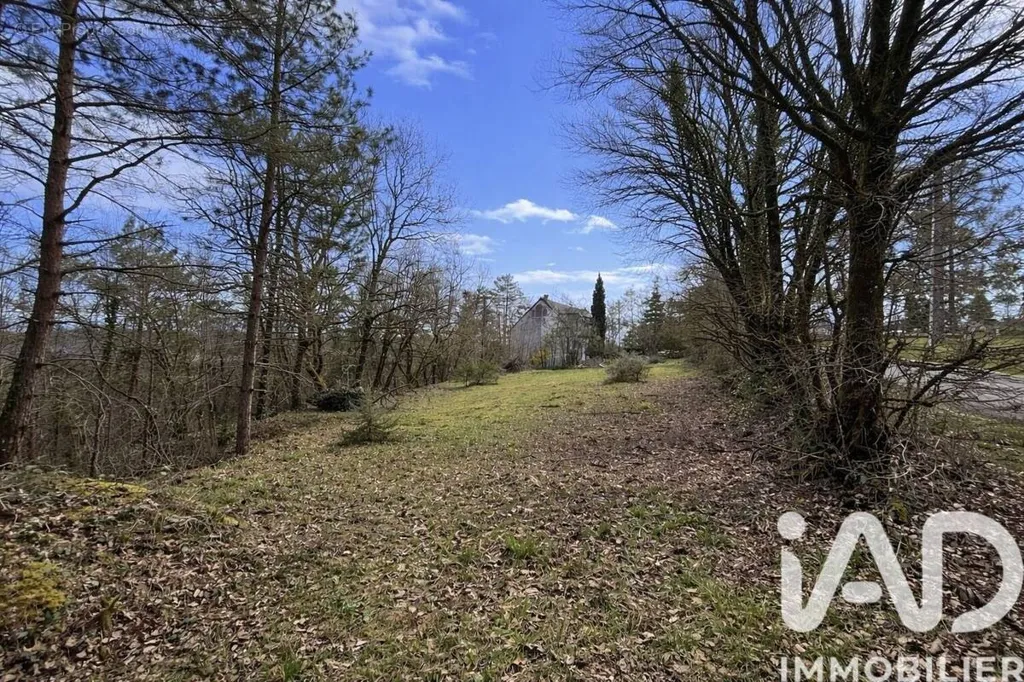 Aed - Buildable Plot with Woodland in Noailles