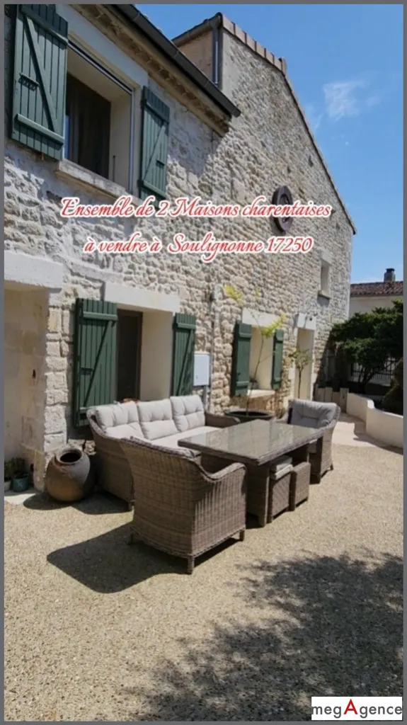 Jardin - Ensemble de deux maisons charentaises avec piscine à Soulignonne