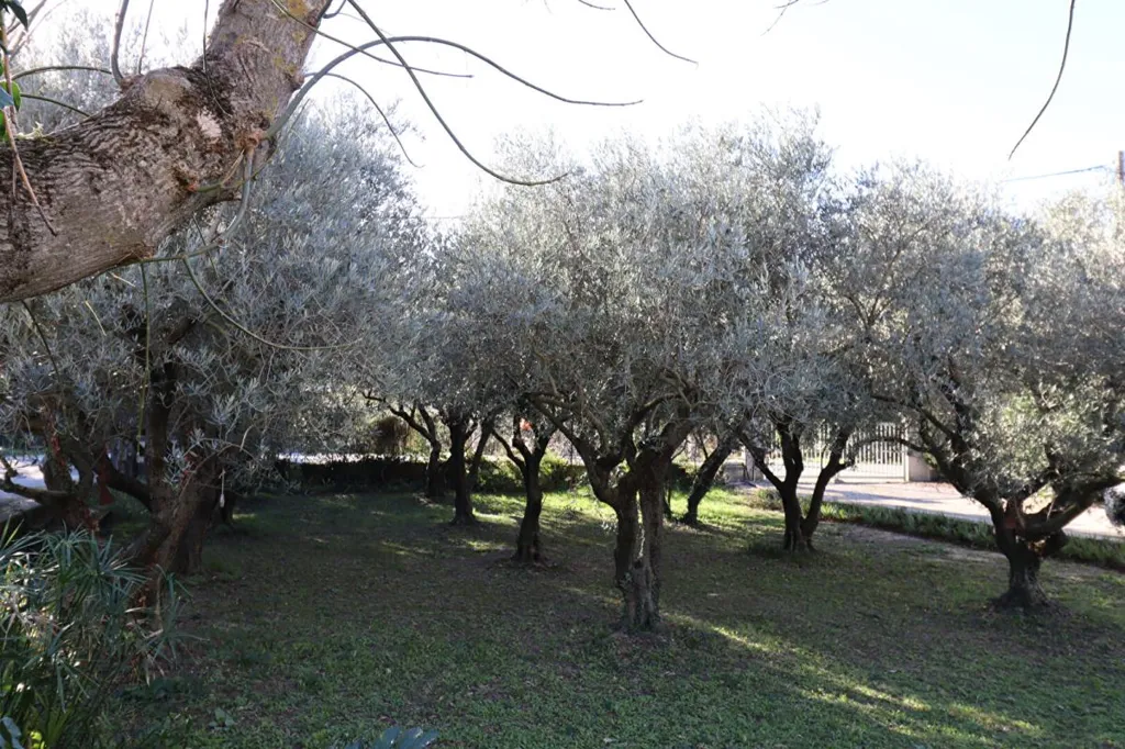 Aed - Stone Mas with Pool in Bédarrides