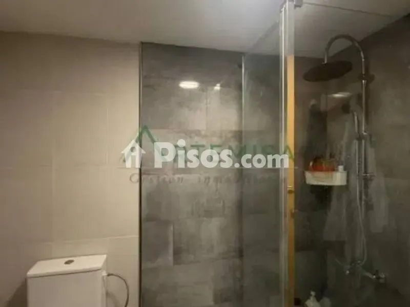 Vannitoad - Bright Flat with Lift in Porta Nova