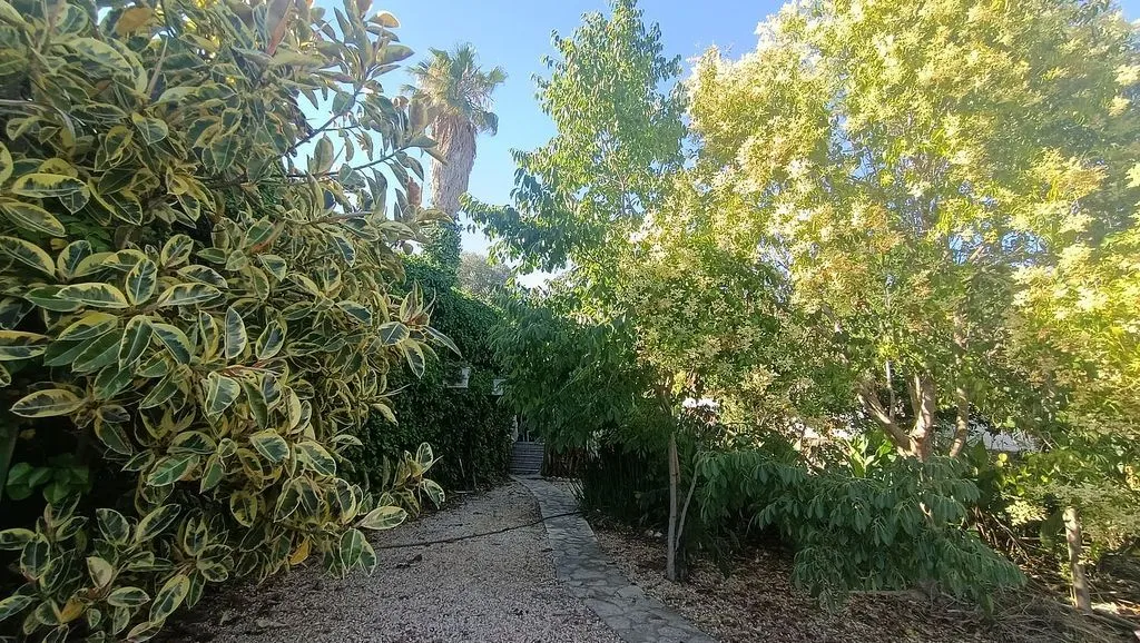 garden