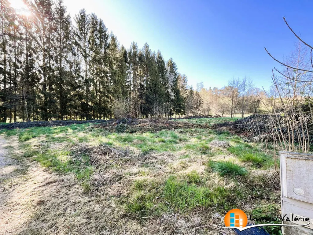 Giardino - Flat Terrain with Constructible Area in Vimenil