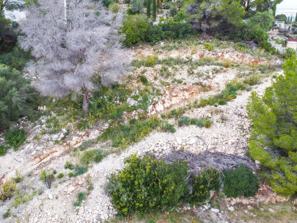 Aed - Modern Villa with Pool in Pedreguer