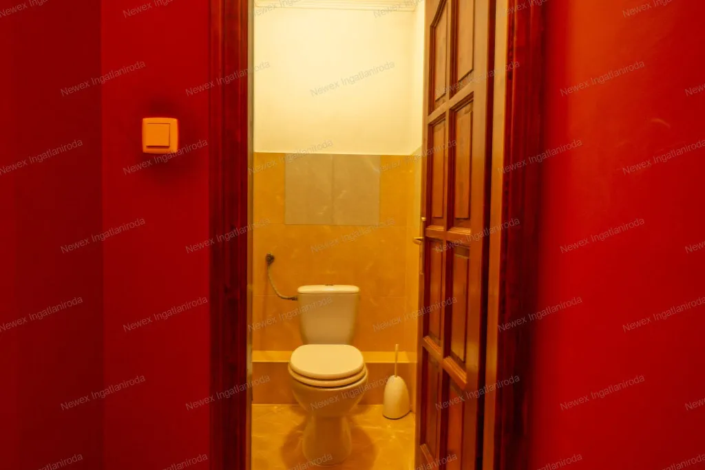 Salles de bain - Multi-Generational Home with Business Potential in Mályi