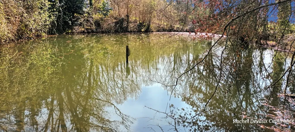 Wooded Plot with River in Pance