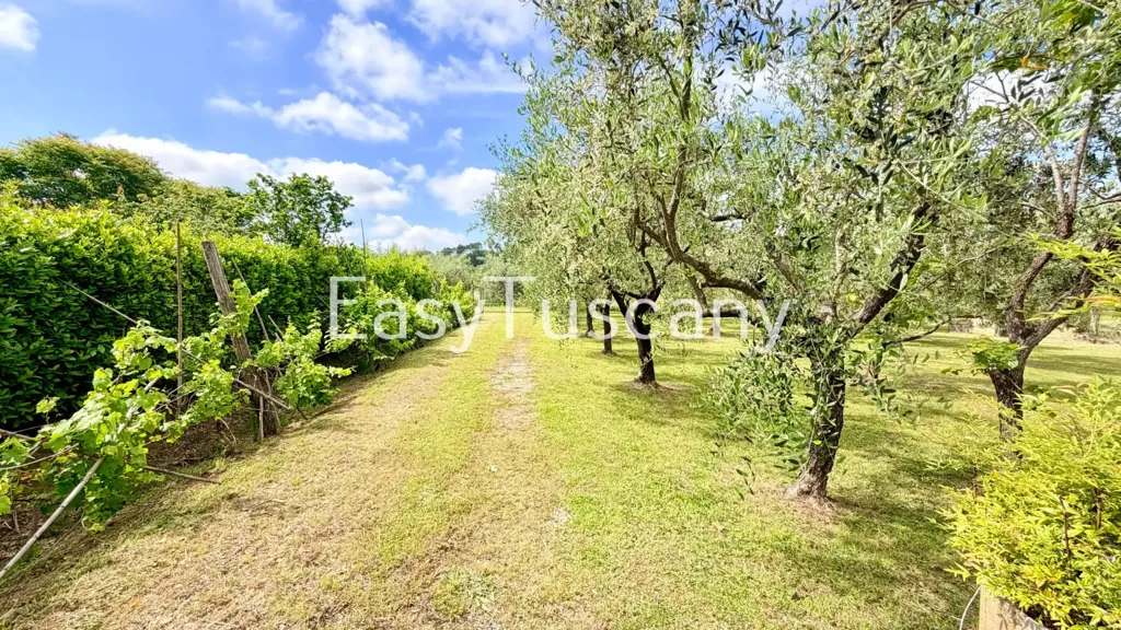 Jardin - Villa with Olive Grove in Montecarlo